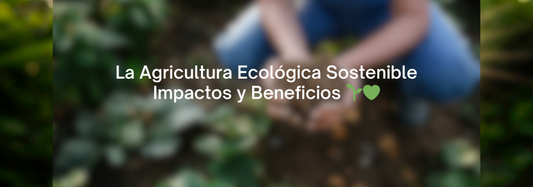 La Agricultura Ecológica Sostenible: Impactos y Beneficios 🌱💚